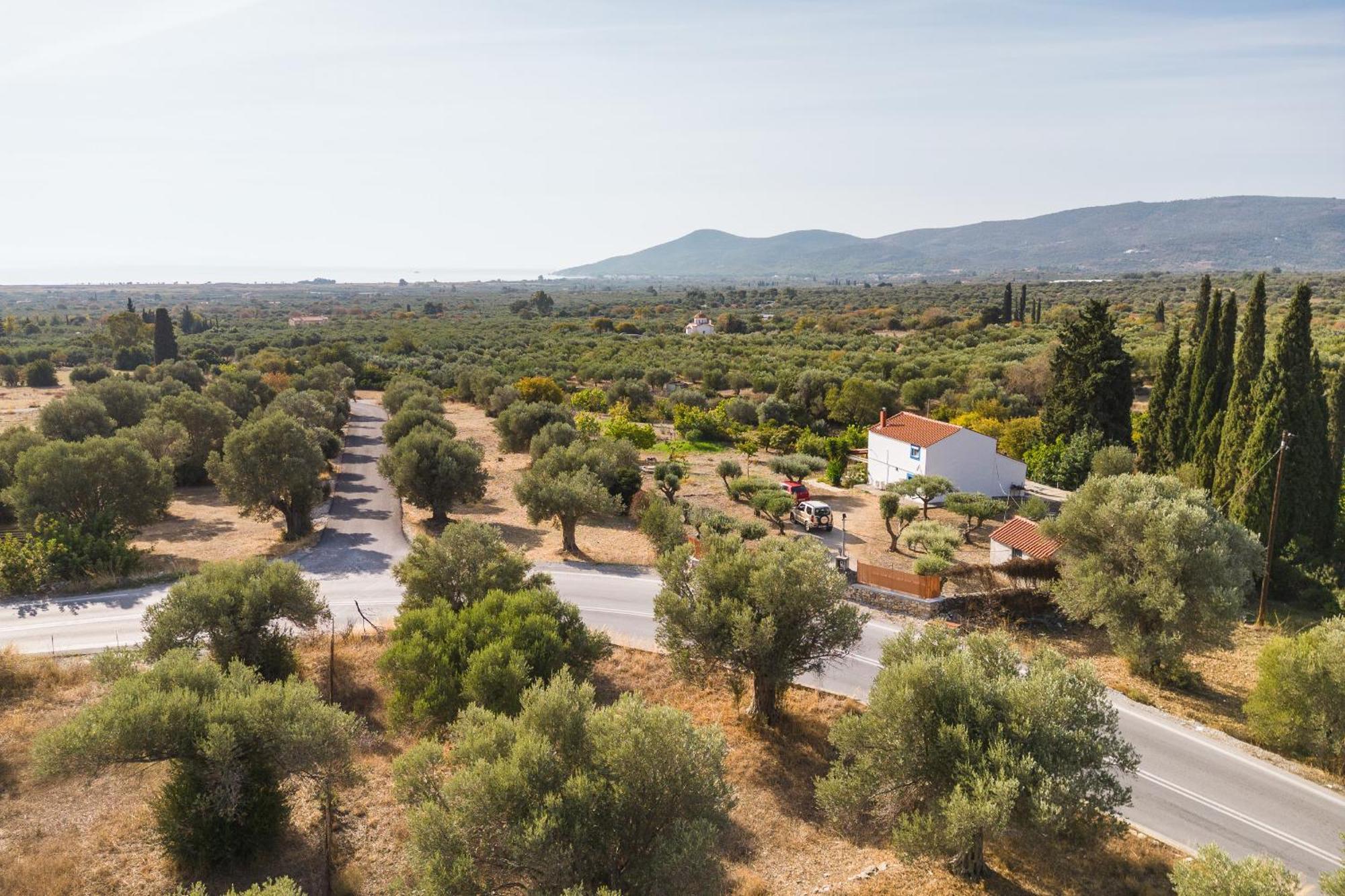 Ether Farmhouse Chora  Kültér fotó
